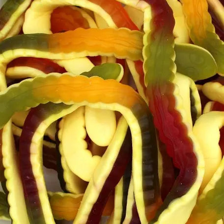 Giant yellow bellies